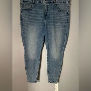 American Eagle High Rise Jegging -The Luxe Jean